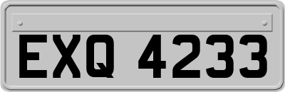 EXQ4233