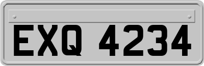 EXQ4234