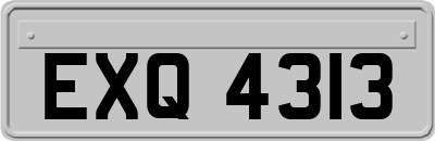 EXQ4313