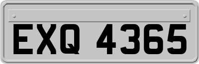 EXQ4365