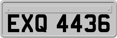 EXQ4436