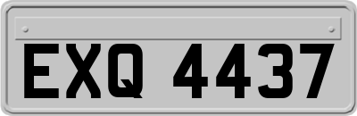 EXQ4437