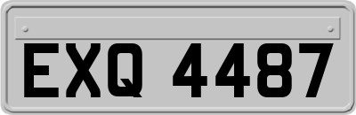 EXQ4487