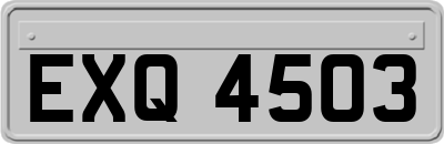 EXQ4503