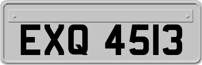 EXQ4513