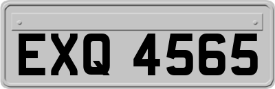 EXQ4565