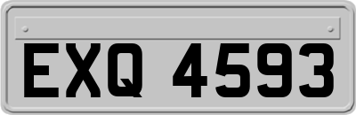 EXQ4593