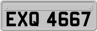 EXQ4667