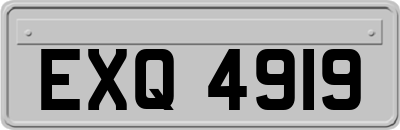 EXQ4919