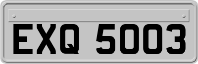 EXQ5003