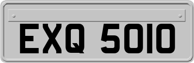 EXQ5010