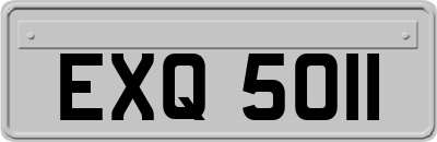 EXQ5011