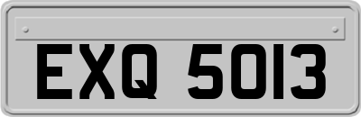 EXQ5013