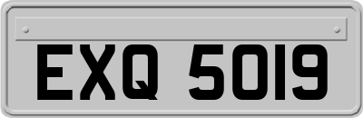 EXQ5019