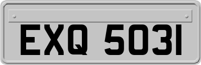 EXQ5031