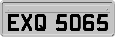 EXQ5065