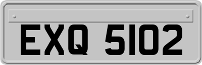 EXQ5102