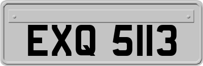 EXQ5113