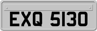EXQ5130