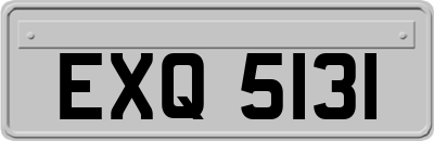EXQ5131