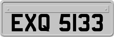 EXQ5133