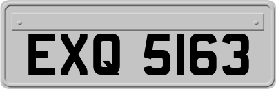 EXQ5163