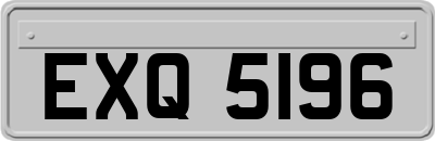 EXQ5196