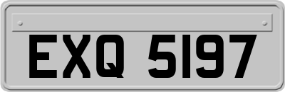 EXQ5197