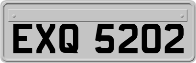 EXQ5202