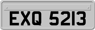 EXQ5213