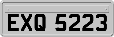 EXQ5223