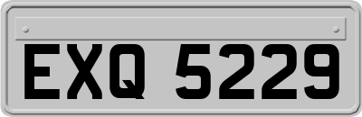 EXQ5229