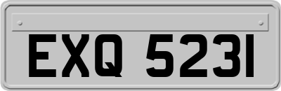 EXQ5231