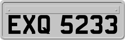 EXQ5233