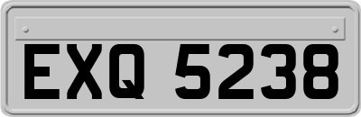 EXQ5238