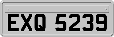 EXQ5239