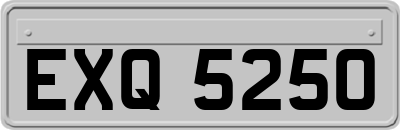 EXQ5250