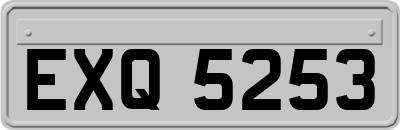 EXQ5253