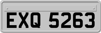 EXQ5263