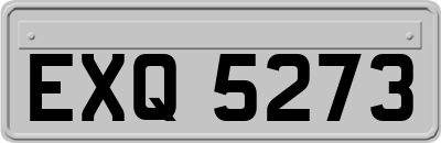 EXQ5273