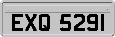 EXQ5291