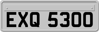 EXQ5300