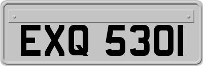 EXQ5301