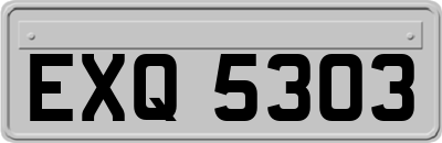 EXQ5303