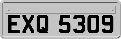 EXQ5309