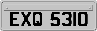 EXQ5310