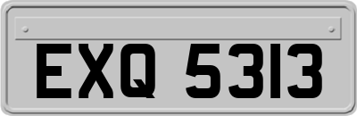 EXQ5313