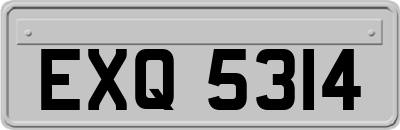 EXQ5314