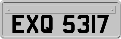EXQ5317