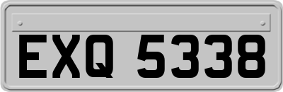 EXQ5338